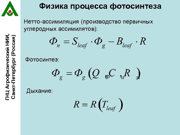 Физика процесса фотосинтеза ГНЦ Агрофизический НИИ, Санкт-Петербург (Россия) Нетто-ассимиляция (производство первичных углеродных ассимилятов): Фотосинтез: