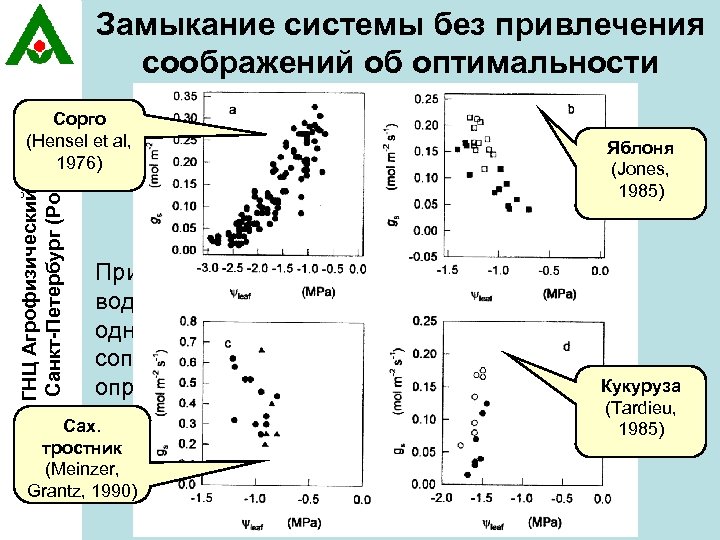 Замыкание системы без привлечения соображений об оптимальности ГНЦ Агрофизический НИИ, Санкт-Петербург (Россия) Дополнительное Сорго