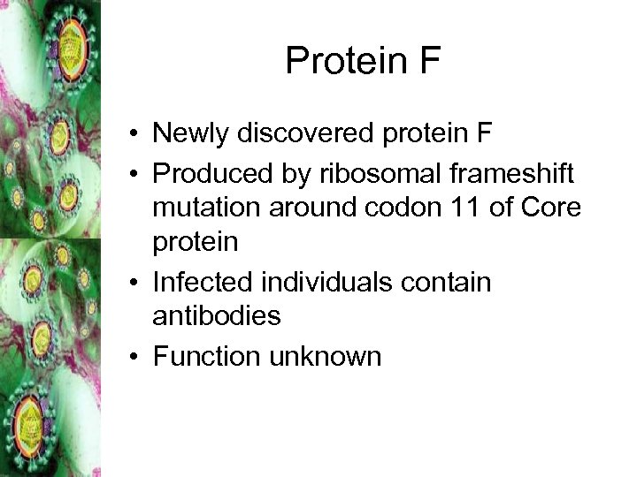 Protein F • Newly discovered protein F • Produced by ribosomal frameshift mutation around