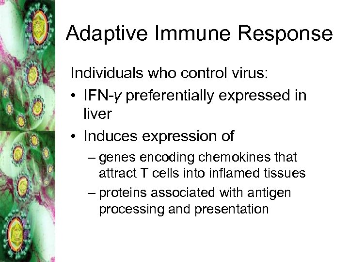 Adaptive Immune Response Individuals who control virus: • IFN-γ preferentially expressed in liver •