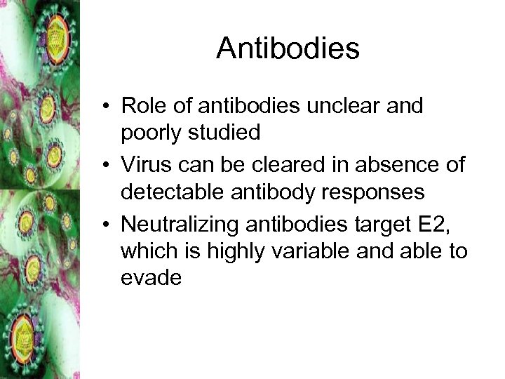 Antibodies • Role of antibodies unclear and poorly studied • Virus can be cleared