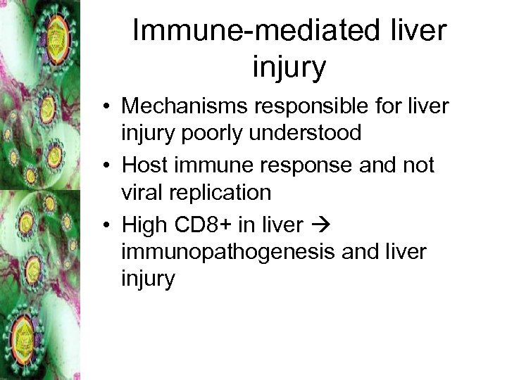 Immune-mediated liver injury • Mechanisms responsible for liver injury poorly understood • Host immune