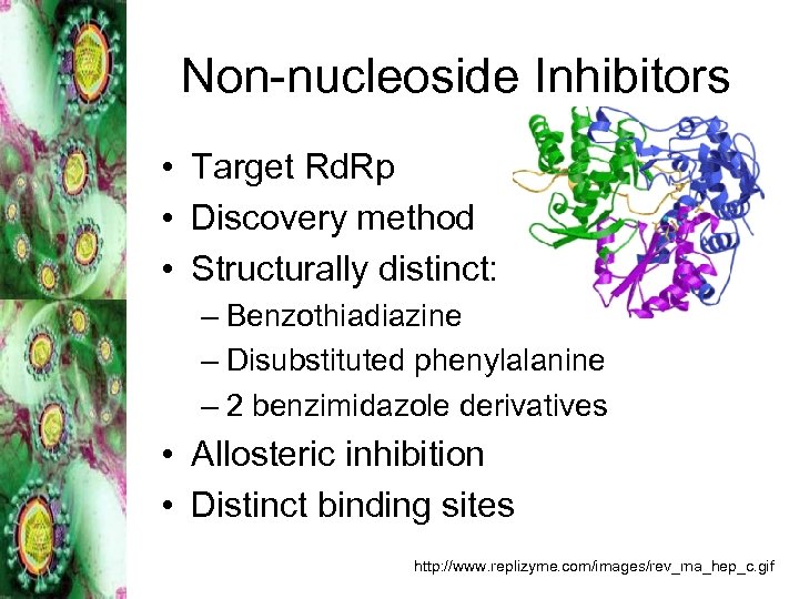 Non-nucleoside Inhibitors • Target Rd. Rp • Discovery method • Structurally distinct: – Benzothiadiazine