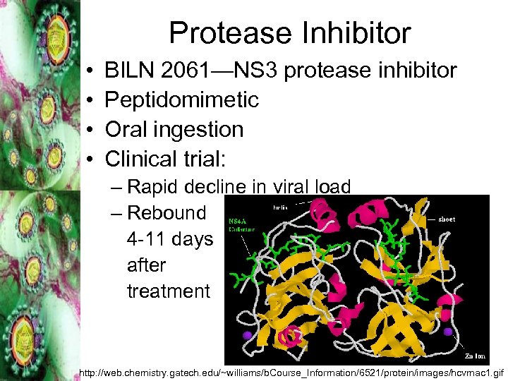 Protease Inhibitor • • BILN 2061—NS 3 protease inhibitor Peptidomimetic Oral ingestion Clinical trial: