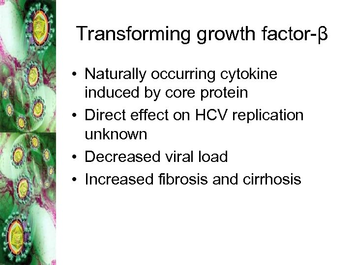 Transforming growth factor-β • Naturally occurring cytokine induced by core protein • Direct effect
