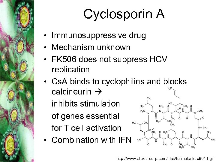 Cyclosporin A • Immunosuppressive drug • Mechanism unknown • FK 506 does not suppress