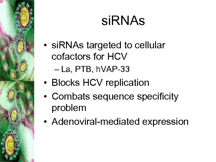 si. RNAs • si. RNAs targeted to cellular cofactors for HCV – La, PTB,