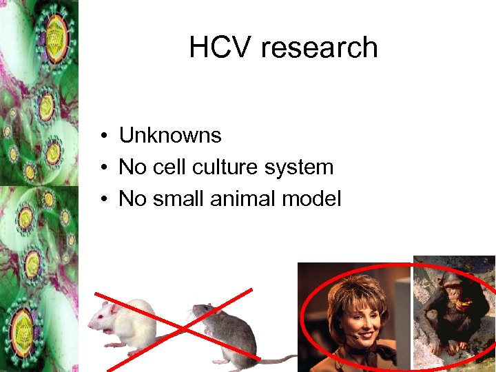 HCV research • Unknowns • No cell culture system • No small animal model