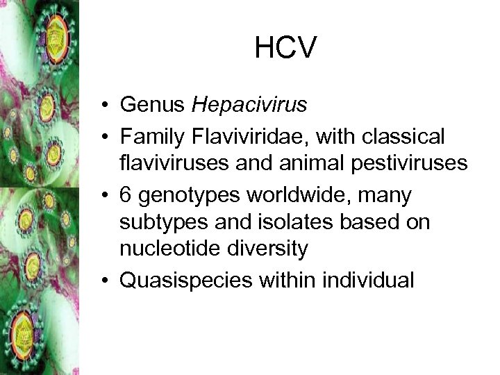 HCV • Genus Hepacivirus • Family Flaviviridae, with classical flaviviruses and animal pestiviruses •