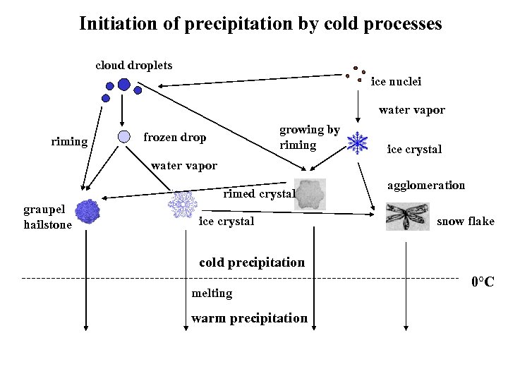 Initiation of precipitation by cold processes cloud droplets ice nuclei water vapor riming growing