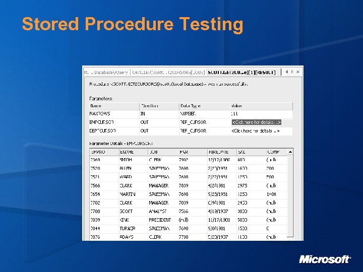 Stored Procedure Testing 