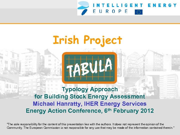 Irish Project Typology Approach for Building Stock Energy Assessment Michael Hanratty, IHER Energy Services