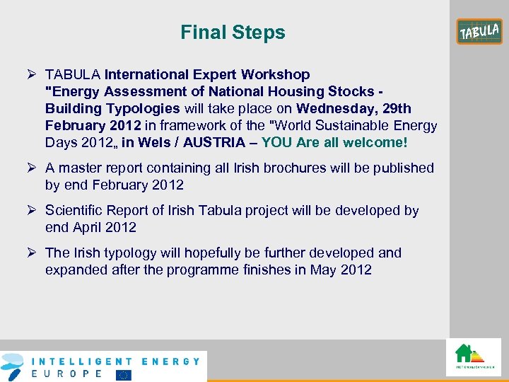 Final Steps Ø TABULA International Expert Workshop "Energy Assessment of National Housing Stocks Building