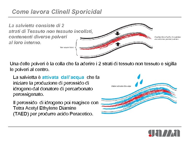 Come lavora Clinell Sporicidal La salvietta consiste di 2 strati di Tessuto non tessuto