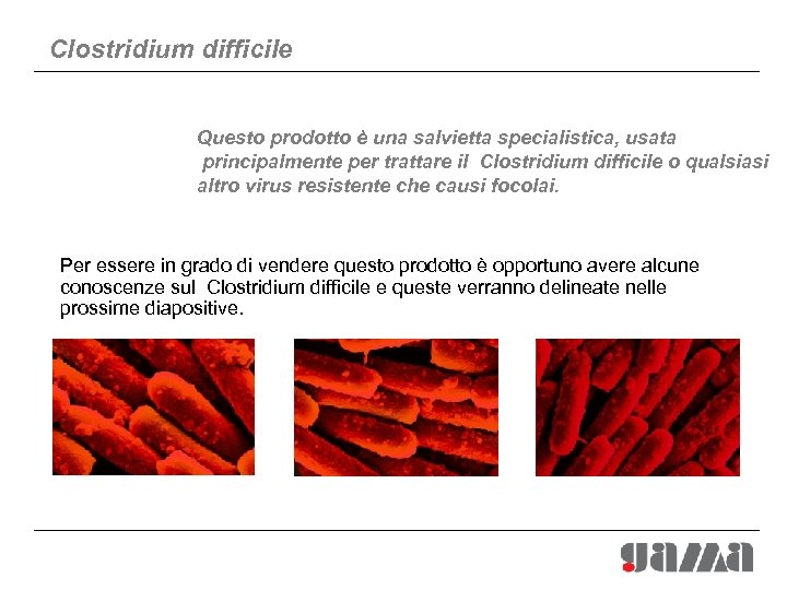 Clostridium difficile Questo prodotto è una salvietta specialistica, usata principalmente per trattare il Clostridium