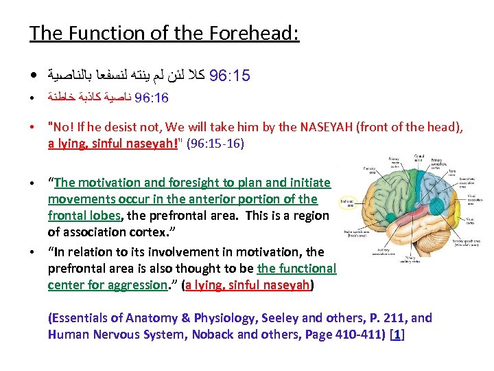 The Function of the Forehead: ● 51: 69 ﻛﻼ ﻟﺌﻦ ﻟﻢ ﻳﻨﺘﻪ ﻟﻨﺴﻔﻌﺎ ﺑﺎﻟﻨﺎﺻﻴﺔ