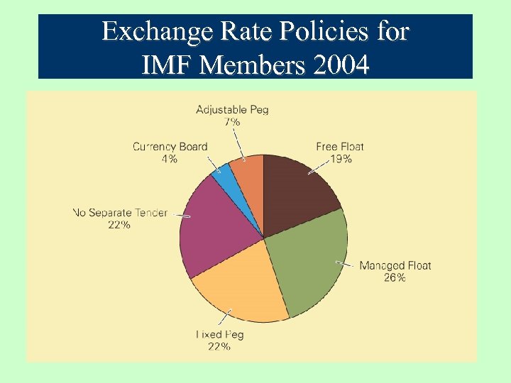 Exchange Rate Policies for IMF Members 2004 