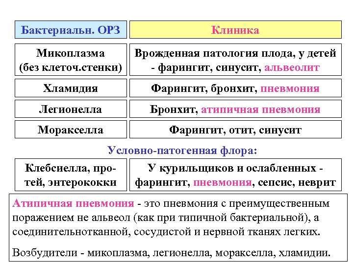 Бактериальн. ОРЗ Клиника Микоплазма (без клеточ. стенки) Врожденная патология плода, у детей - фарингит,