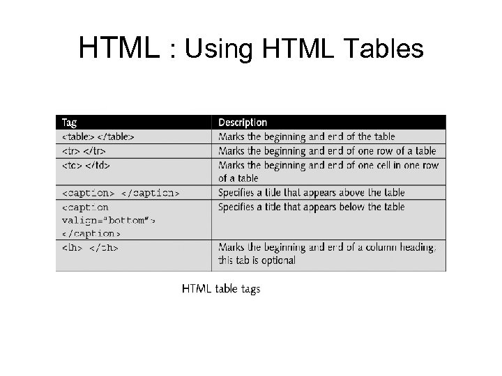 HTML : Using HTML Tables 