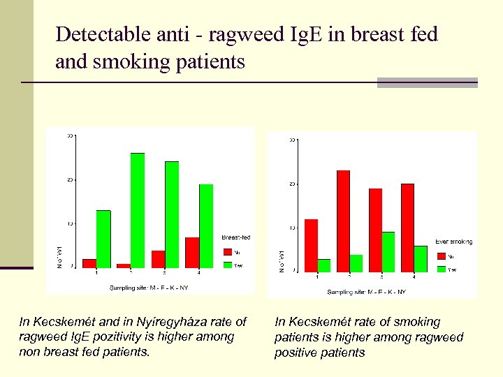 Detectable anti - ragweed Ig. E in breast fed and smoking patients In Kecskemét