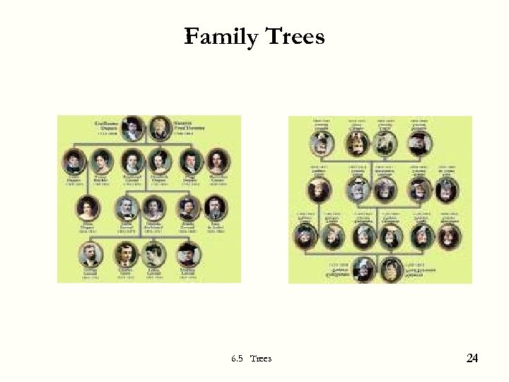 Family Trees 6. 5 Trees 24 