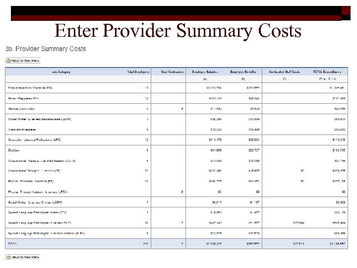 Enter Provider Summary Costs 43 