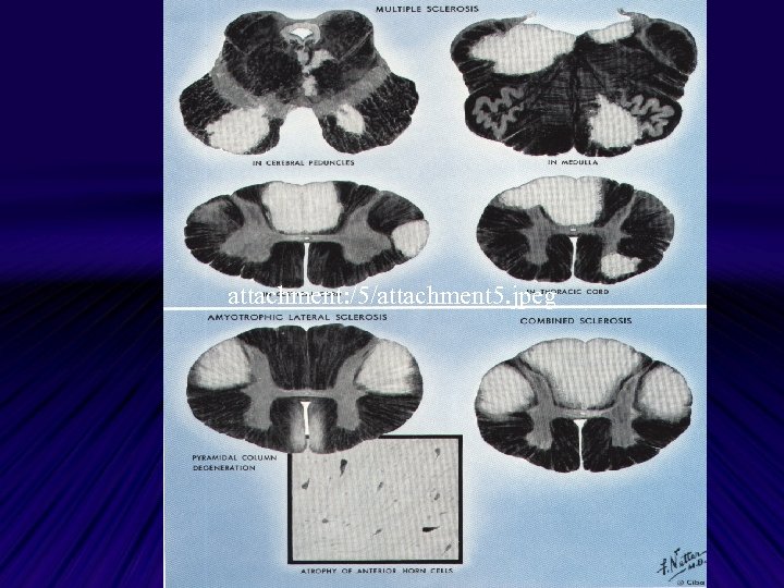attachment: /5/attachment 5. jpeg 