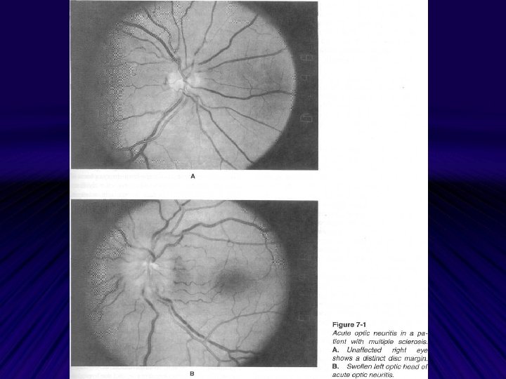 attachment: /5/attachment 5. jpeg 