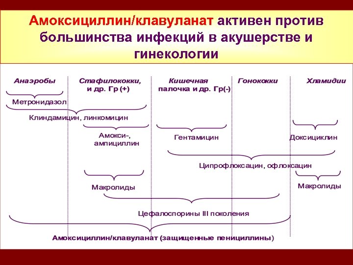 Амоксициллин/клавуланат активен против большинства инфекций в акушерстве и гинекологии 