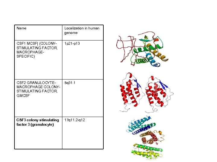 Name Localization in human genome CSF 1 MCSF| (COLONYSTIMULATING FACTOR, MACROPHAGESPECIFIC) 1 p 21