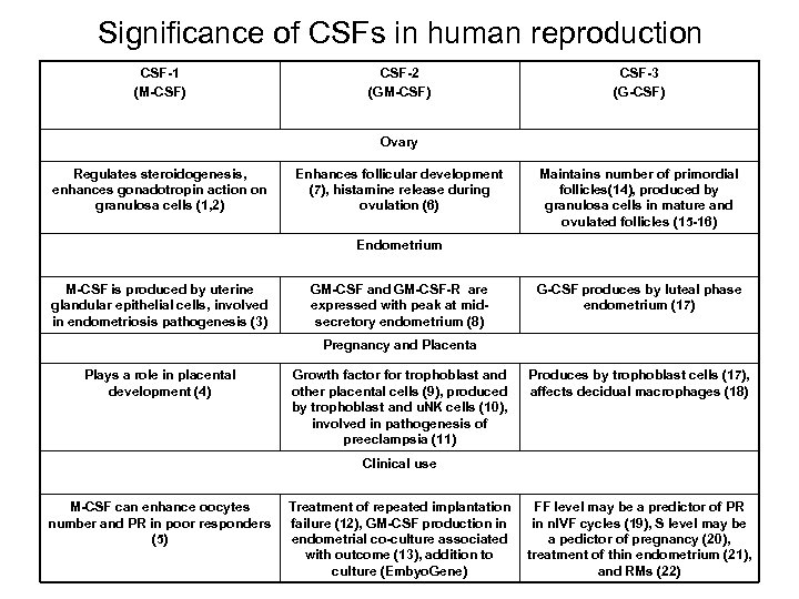 Significance of CSFs in human reproduction CSF-1 (M-CSF) CSF-2 (GM-CSF) CSF-3 (G-CSF) Ovary Regulates