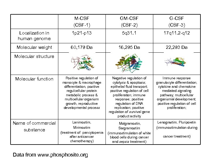 M-CSF (CSF-1) GM-CSF (CSF-2) G-CSF (CSF-3) Localization in human genome 1 p 21 -p