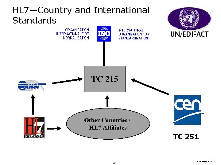 HL 7—Country and International Standards TC 215 Other Countries / HL 7 Affiliates TC