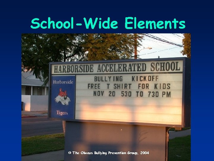 School-Wide Elements © The Olweus Bullying Prevention Group, 2004 