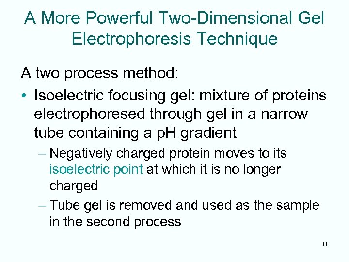 A More Powerful Two-Dimensional Gel Electrophoresis Technique A two process method: • Isoelectric focusing