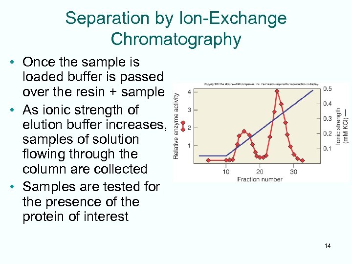 Separation by Ion-Exchange Chromatography • Once the sample is loaded buffer is passed over