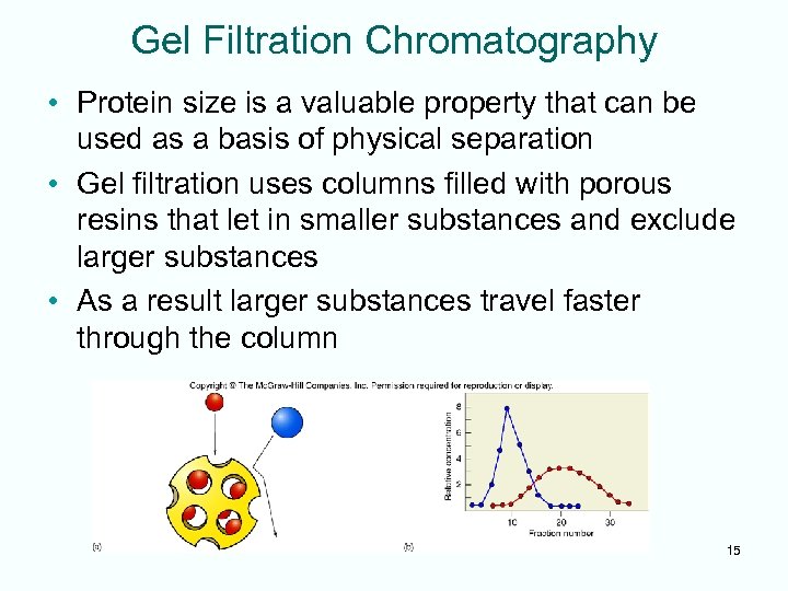 Gel Filtration Chromatography • Protein size is a valuable property that can be used