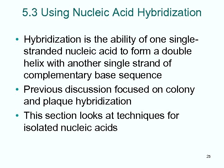 5. 3 Using Nucleic Acid Hybridization • Hybridization is the ability of one singlestranded