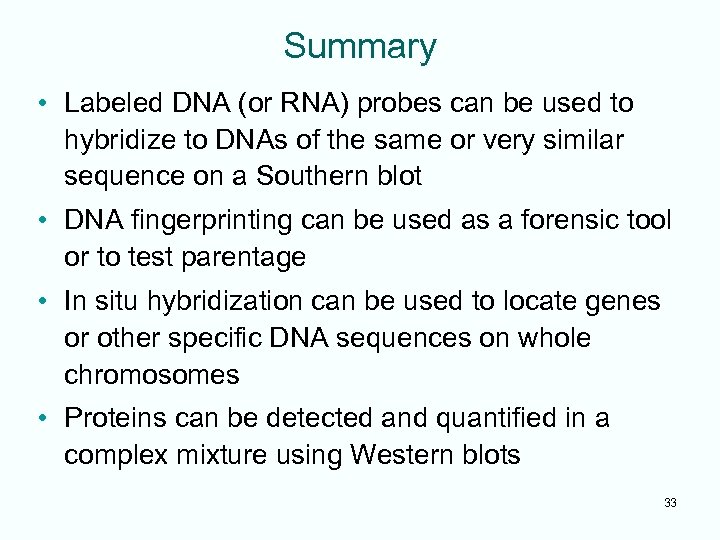 Summary • Labeled DNA (or RNA) probes can be used to hybridize to DNAs