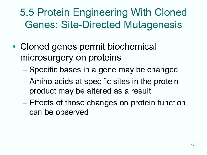 5. 5 Protein Engineering With Cloned Genes: Site-Directed Mutagenesis • Cloned genes permit biochemical