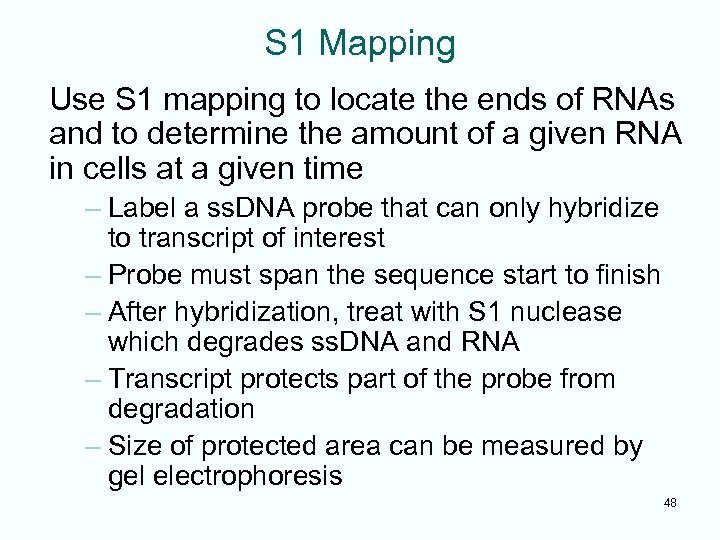 S 1 Mapping Use S 1 mapping to locate the ends of RNAs and