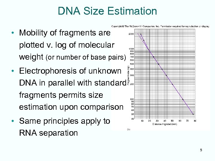 DNA Size Estimation • Mobility of fragments are plotted v. log of molecular weight