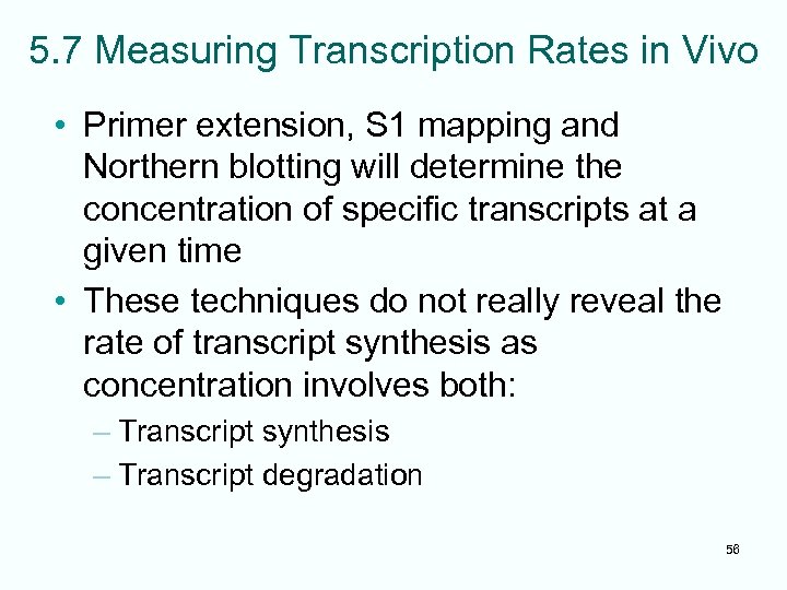 5. 7 Measuring Transcription Rates in Vivo • Primer extension, S 1 mapping and