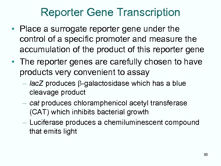 Reporter Gene Transcription • Place a surrogate reporter gene under the control of a