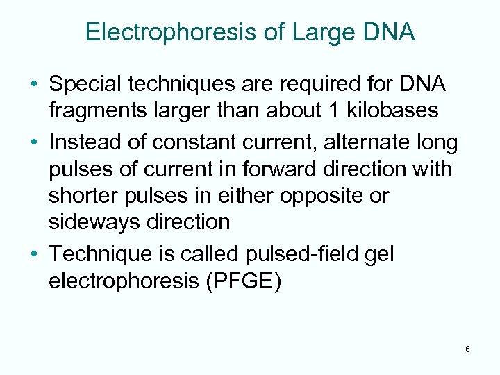 Electrophoresis of Large DNA • Special techniques are required for DNA fragments larger than