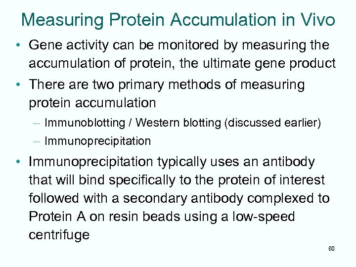 Measuring Protein Accumulation in Vivo • Gene activity can be monitored by measuring the
