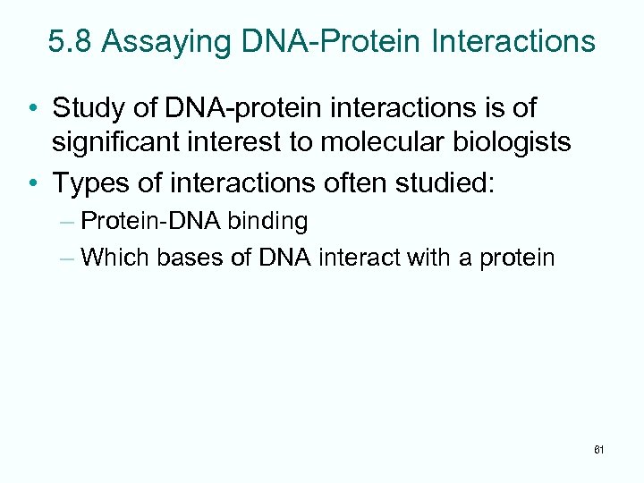 5. 8 Assaying DNA-Protein Interactions • Study of DNA-protein interactions is of significant interest