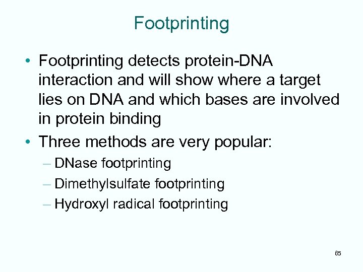 Footprinting • Footprinting detects protein-DNA interaction and will show where a target lies on