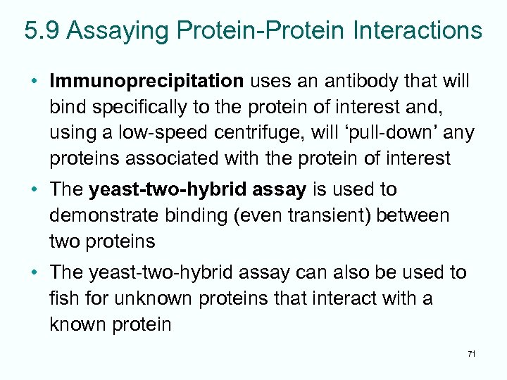 5. 9 Assaying Protein-Protein Interactions • Immunoprecipitation uses an antibody that will bind specifically