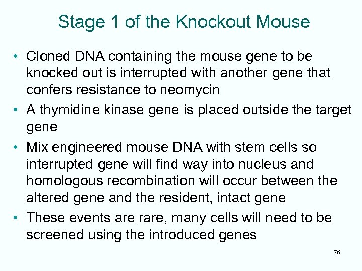 Stage 1 of the Knockout Mouse • Cloned DNA containing the mouse gene to